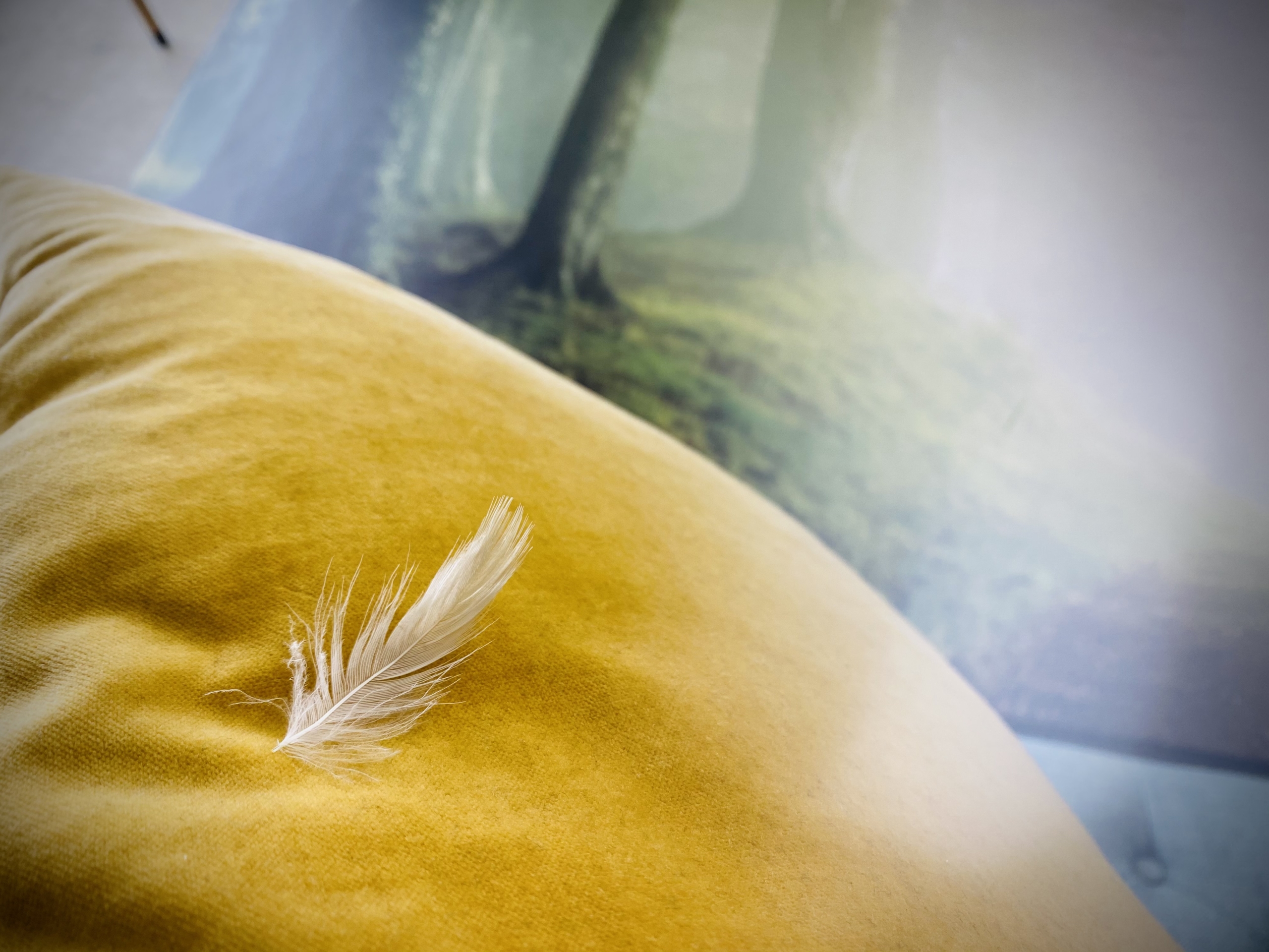 優しくなりたい